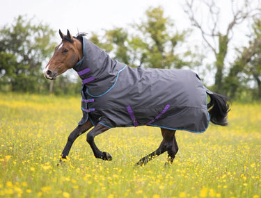 Buy Shires Tempest Original 300g Turnout Rug & Neck Set| Online for Equine