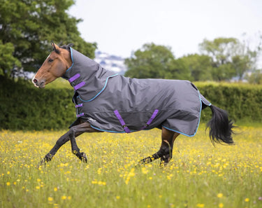 Buy Shires Tempest Original 300g Turnout Rug & Neck Set| Online for Equine