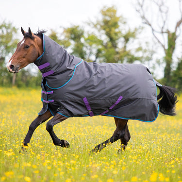 Shires Tempest Original 300g Turnout Rug & Neck Set| Online For Equine