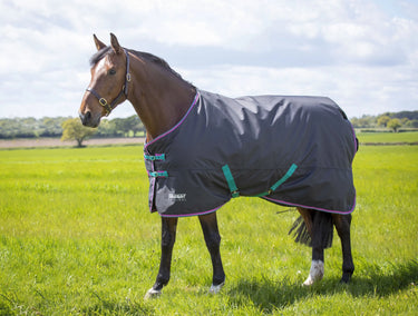 Buy Shires Tempest Original 300g Turnout Rug| Online for Equine