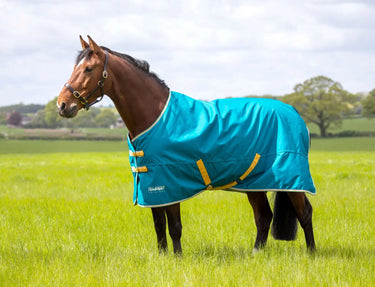 Buy Shires Tempest Original 50g Blue Standard Neck Turnout Rug| Online for Equine