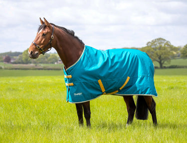 Buy Shires Tempest Original 50g Blue Standard Neck Turnout Rug| Online for Equine
