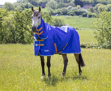 Buy Shires Tempest Original 50g Royal Combo Turnout Rug| Online for Equine