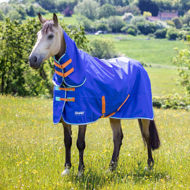 Shires Tempest Original 50g Royal Combo Turnout Rug| Online For Equine