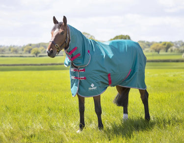 Buy Shires Tempest Original Air Motion Green Combo Lightweight Turnout| Online for Equine