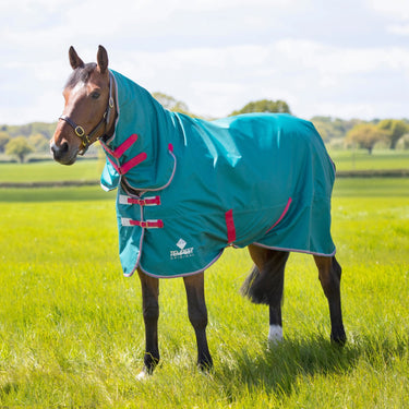 Shires Tempest Original Air Motion Green Combo Lightweight Turnout| Online For Equine