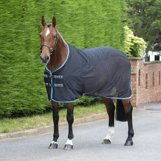 Buy Shires Tempest Original Black Fleece/Mesh Cooler Rug| Online for Equine