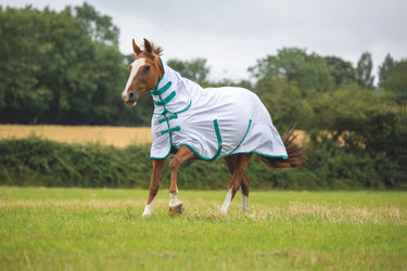 Buy Shires Tempest Original Fly Combo Rug| Online for Equine
