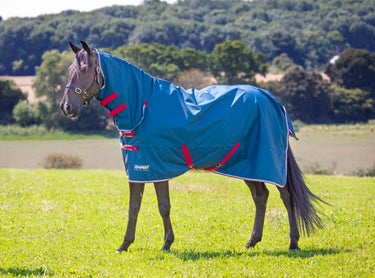Buy Shires Tempest Original Lite Teal Combo Turnout Rug| Online for Equine