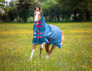 Buy Shires Tempest Original Lite Teal Combo Turnout Rug| Online for Equine