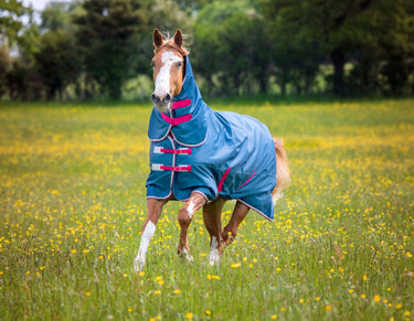 Buy Shires Tempest Original Lite Teal Combo Turnout Rug| Online for Equine