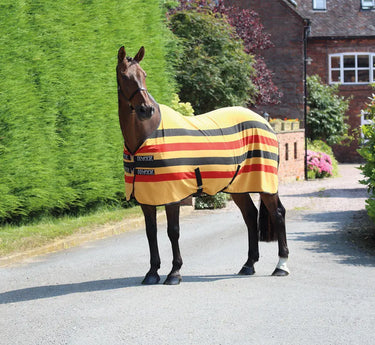 Buy Shires Tempest Original Newmarket Fleece Rug| Online for Equine