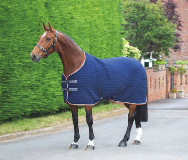 Buy Shires Tempest Original Tech Cooler Rug| Online for Equine