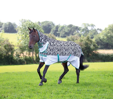Buy Shires Tempest Original Zeb-Tek Fly Combo Rug| Online for Equine