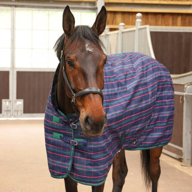 Buy the Shires Tempest Plus Navy Tartan 100g Stable Rug | Online for Equine
