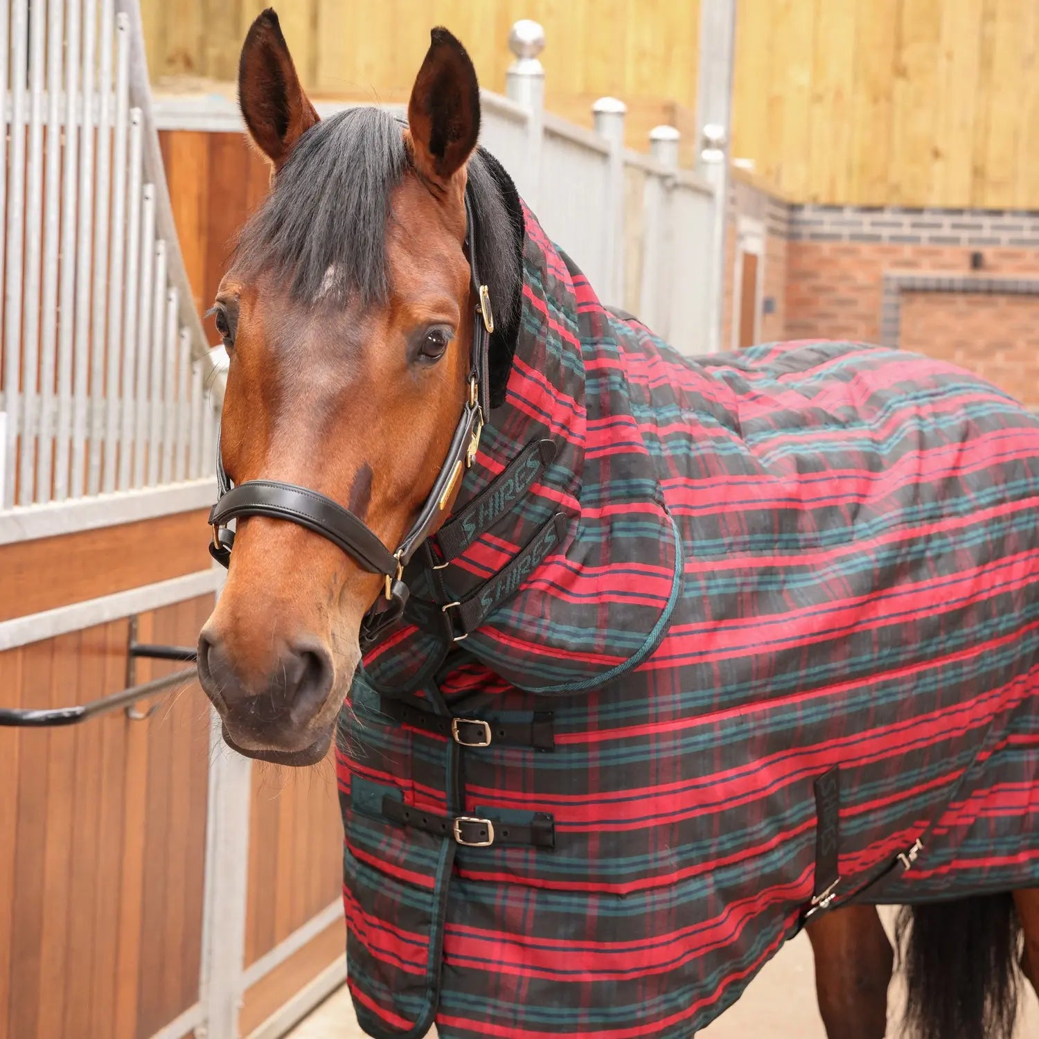 Tarten Rug Red Buy Shires Tempest Plus Red Tartan 200g Combo Stable Rug | Online for ...