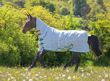Buy Shires Tempest Plus Sweet-Itch Combo Rug| Online for Equine