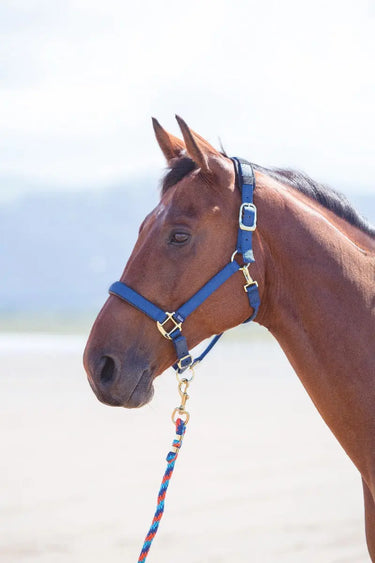 Buy Shires Topaz Nylon Headcollar| Online for Equine