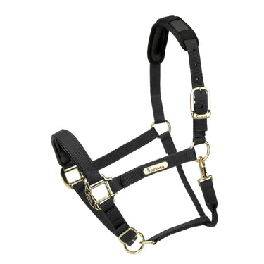 Shires Topaz Nylon Headcollar| Online For Equine