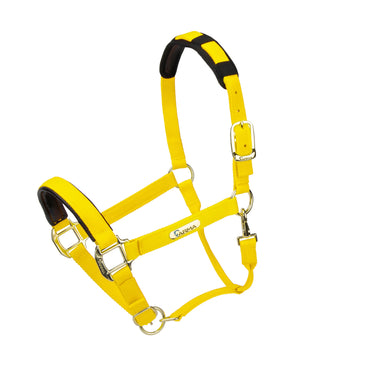Shires Topaz Nylon Headcollar| Online For Equine