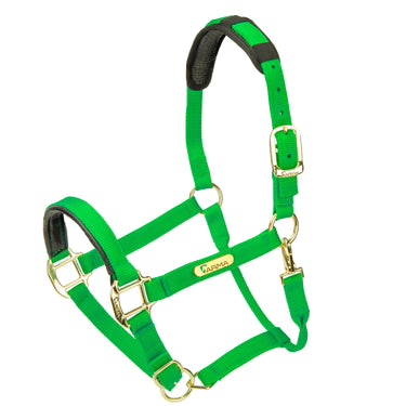 Shires Topaz Nylon Headcollar| Online For Equine