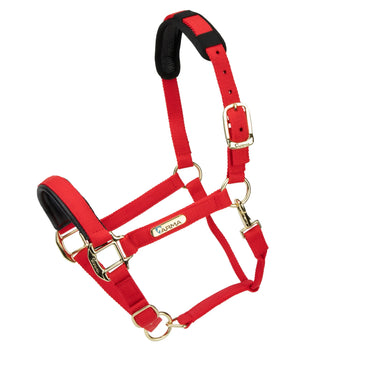 Shires Topaz Nylon Headcollar| Online For Equine
