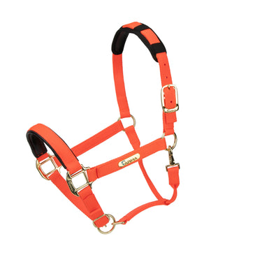 Shires Topaz Nylon Headcollar| Online For Equine