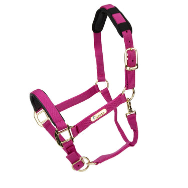 Shires Topaz Nylon Headcollar| Online For Equine