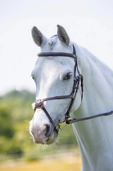 Buy Shires Velociti Comfort Grackle Bridle| Online for Equine