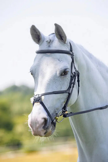 Buy Shires Velociti Comfort Grackle Bridle| Online for Equine
