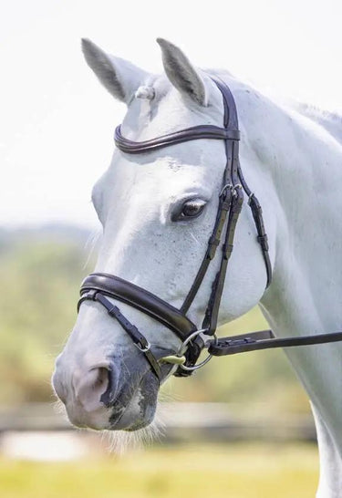 Buy Shires Velociti Dressage Flash Bridle| Online for Equine