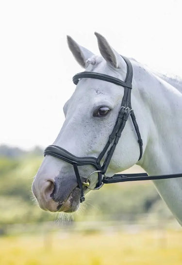 Buy Shires Velociti Ergonomic Comfort Bridle With Flash| Online for Equine