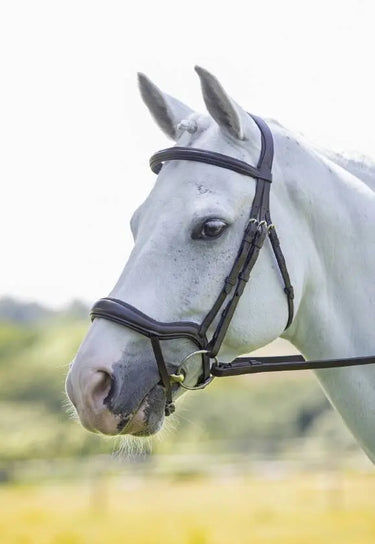 Buy Shires Velociti Ergonomic Comfort Bridle With Flash| Online for Equine