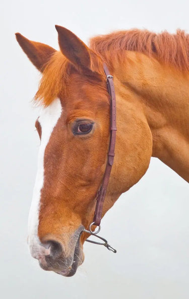 Buy Shires Velociti GARA Chifney Bit Strap| Online for Equine