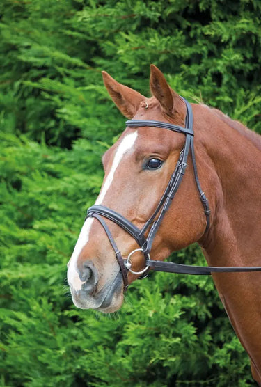Buy Shires Velociti GARA Comfort Fit Bridle| Online for Equine