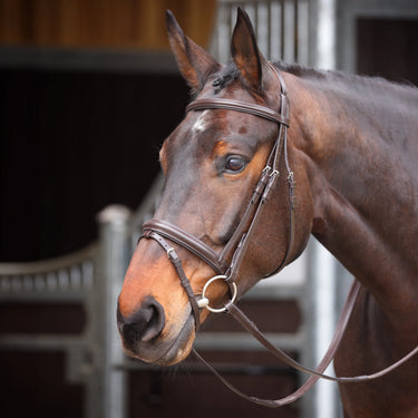 Shires Velociti GARA Comfort Fit Bridle| Online For Equine