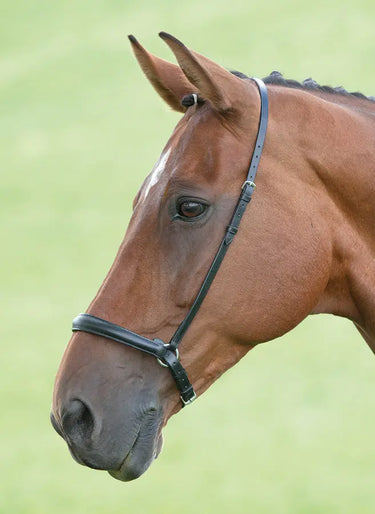 Buy Shires Blenheim Drop Noseband| Online for Equine
