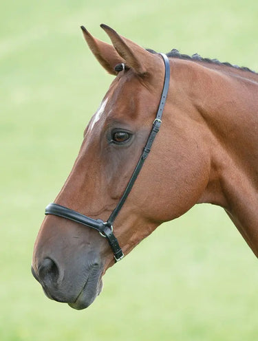 Shires Velociti GARA Drop Noseband| Online For Equine