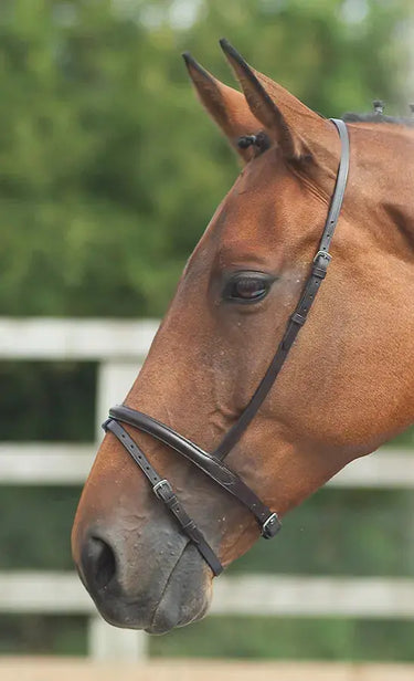 Shires Velociti GARA Flash Noseband| Online For Equine