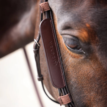 Buy the Shires Velociti GARA Havana Leather Blinkers | Online for Equine