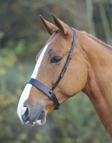 Buy Shires Velociti GARA Hunter Cavesson Noseband| Online for Equine