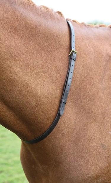 Buy Shires Velociti GARA Leather Neck Strap| Online for Equine