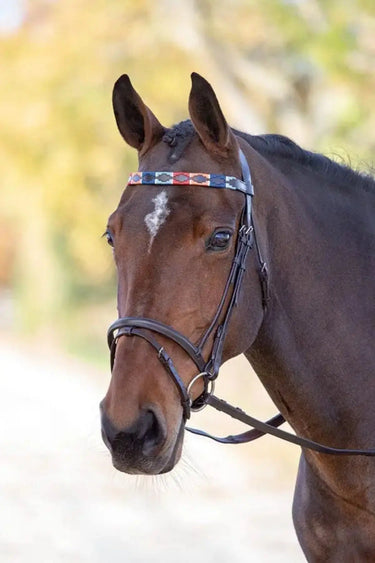 Buy Shires Velociti GARA Leather Polo Browband| Online for Equine
