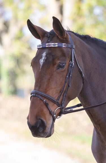 Shires Velociti GARA Leather Polo Browband| Online For Equine