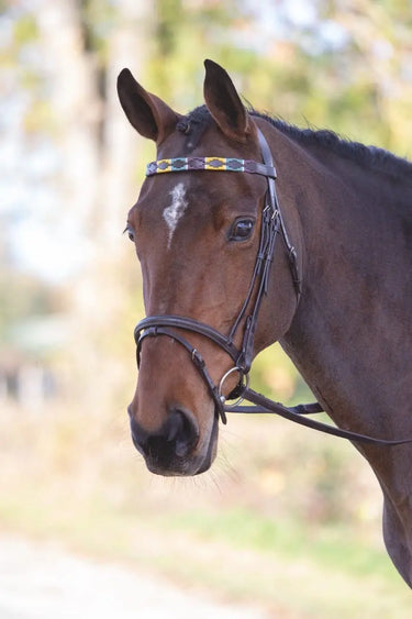 Shires Velociti GARA Leather Polo Browband| Online For Equine