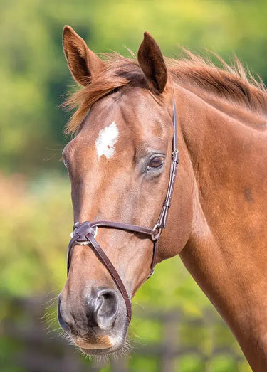 Buy Shires Blenheim Mexican Noseband| Online for Equine