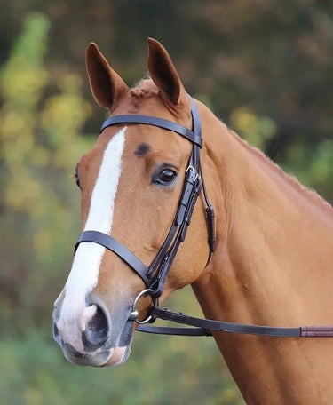 Buy Shires Velociti GARA Plain Bridle| Online for Equine