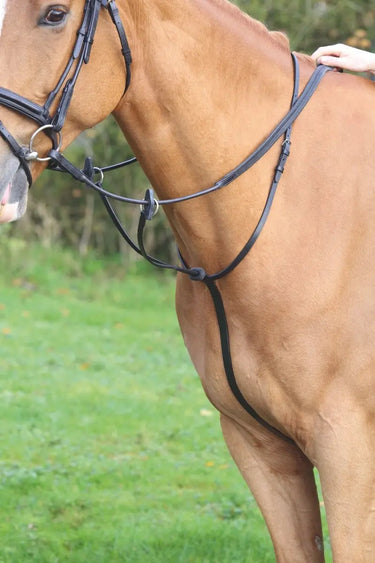 Buy Shires Velociti GARA Running Martingale| Online for Equine