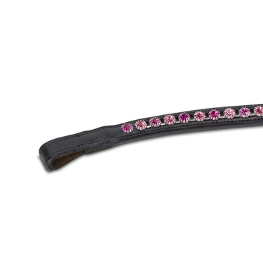Shires Velociti GARA Two Tone Browband Rose/Black| Online For Equine