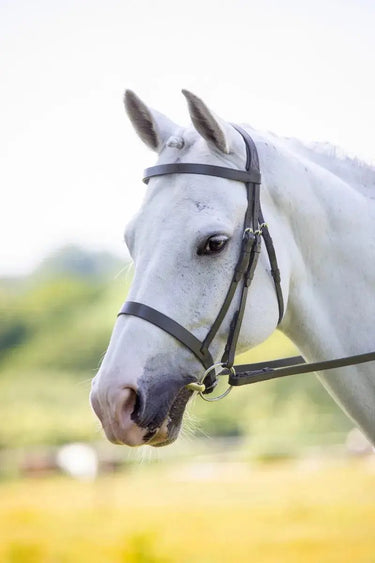 Buy Shires Velociti Hunter Cavesson Bridle| Online for Equine